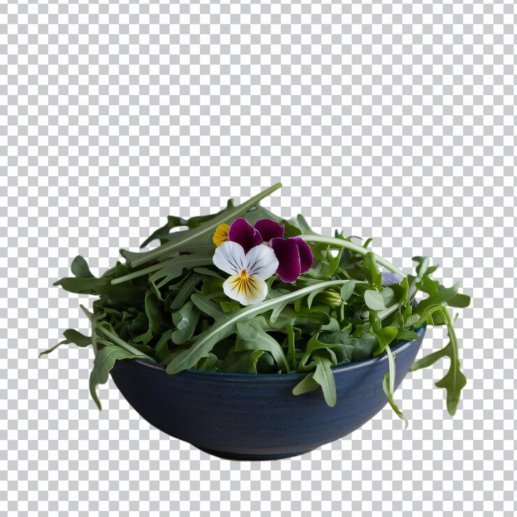 PSD arugula aislada sobre un fondo transparente