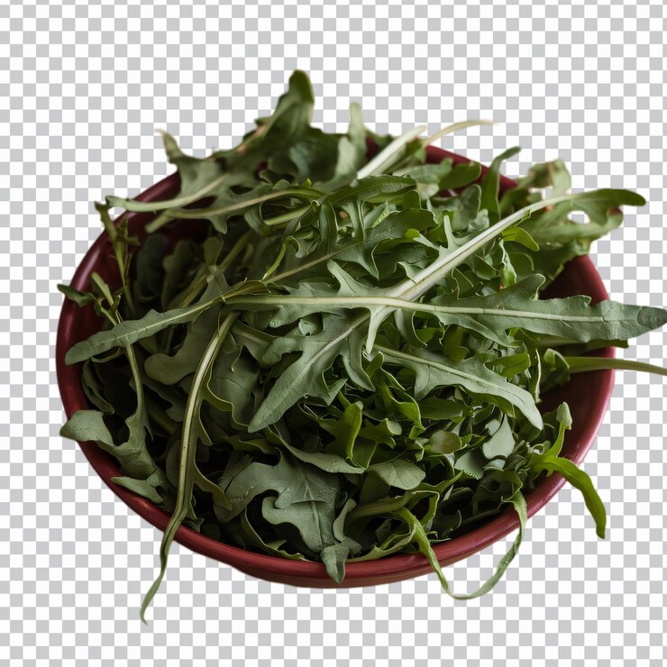 PSD arugula aislada sobre un fondo transparente