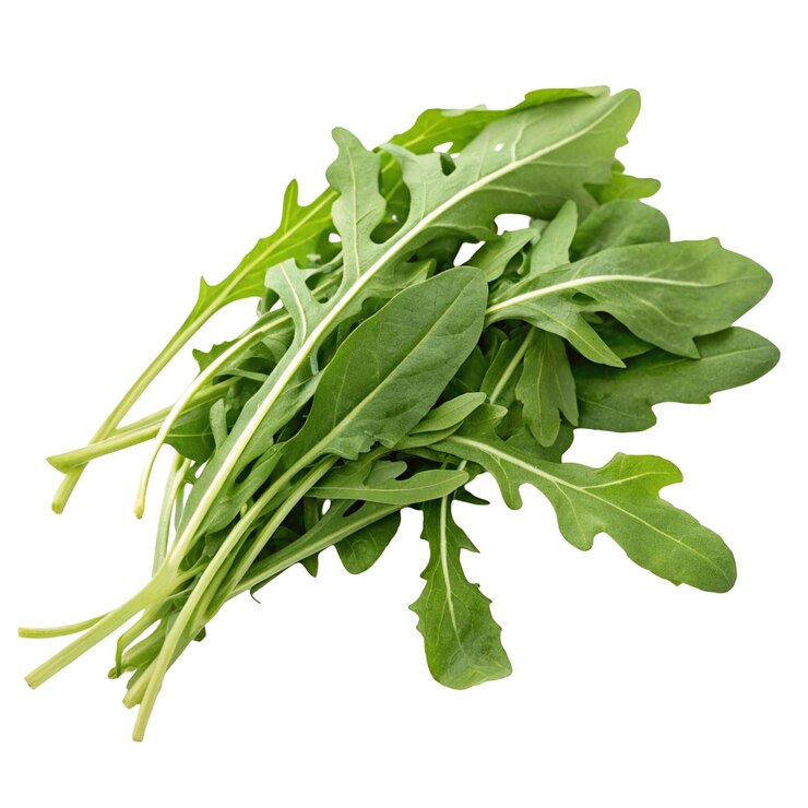 Arugula fresh peppery green leaves isolated clearly on white background perfect for salads and garnish