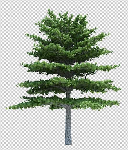PSD Árvore de objeto natural isolada