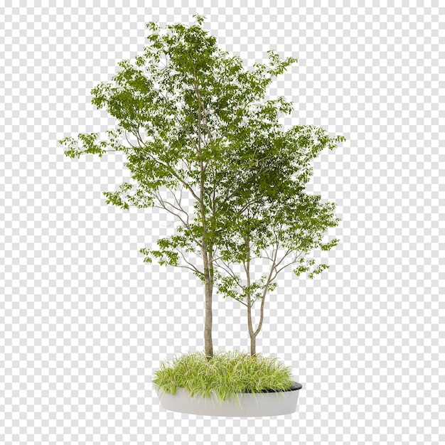 Árvore isométrica em renderização 3d