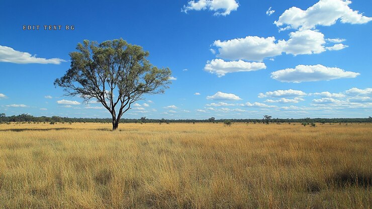 PSD árvore solitária na vasta savana dourada sob um céu azul brilhante com nuvens fofas