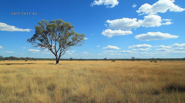 PSD árvore solitária na vasta savana dourada sob um céu azul brilhante com nuvens fofas
