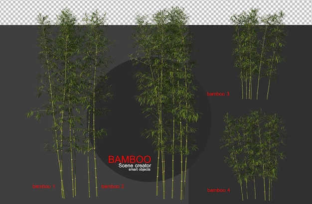 Árvores de bambu de vários tamanhos