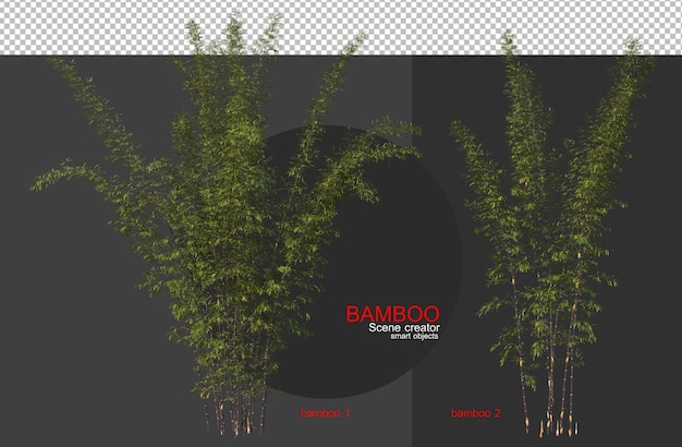 Árvores de bambu de vários tamanhos