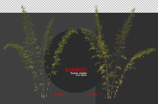 Árvores de bambu de vários tamanhos