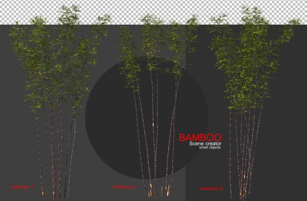Árvores de bambu de vários tamanhos