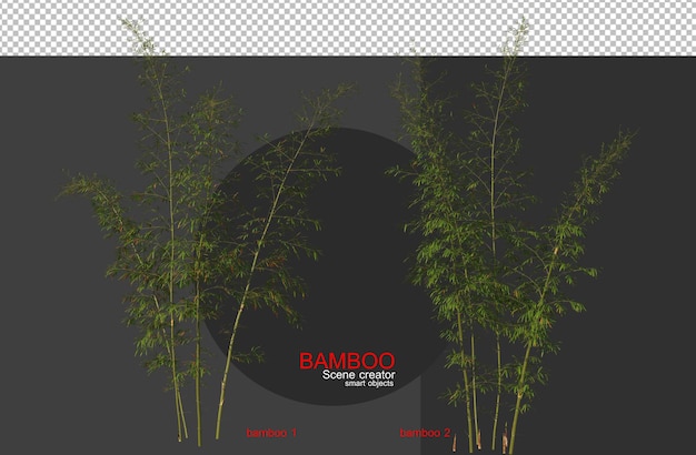 Árvores de bambu de vários tamanhos