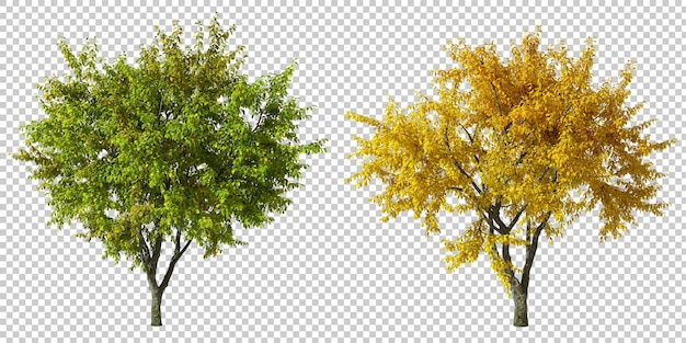 PSD Árvores de outono com folhas amarelas e verdes vibrantes com fundos transparentes 3d renderizados