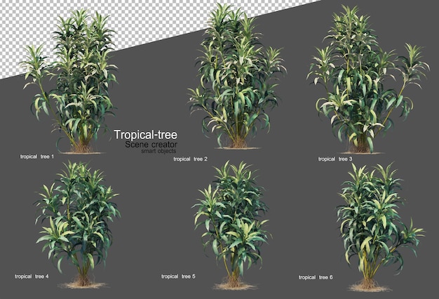 Árvores e plantas tropicais em renderização 3d