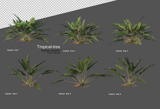 Árvores e plantas tropicais em renderização 3d