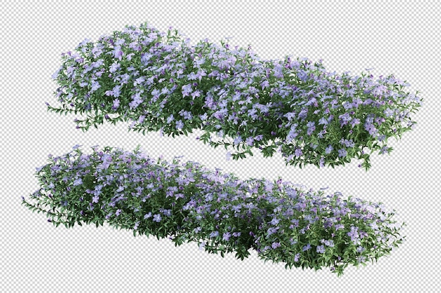 Árvores tropicais e flores isoladas em renderização 3d