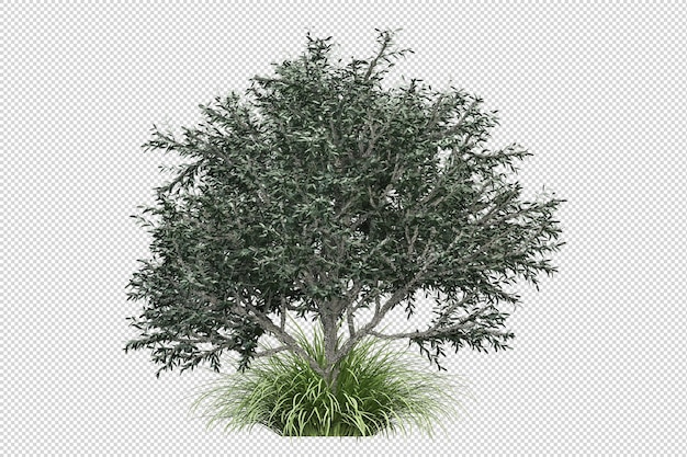 PSD Árvores tropicais e flores isoladas em renderização 3d