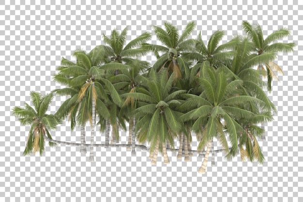 PSD Árvores tropicais em fundo transparente. renderização em 3d - ilustração