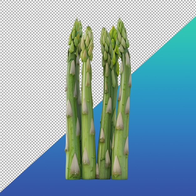 Les asperges png