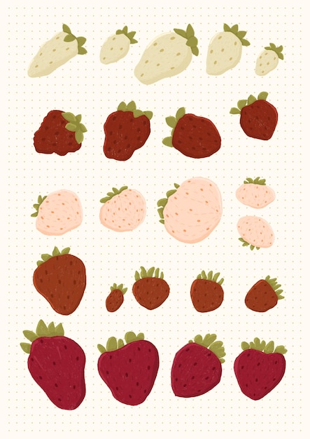 Assorted HandDrawn Strawberries A Sweet Collection