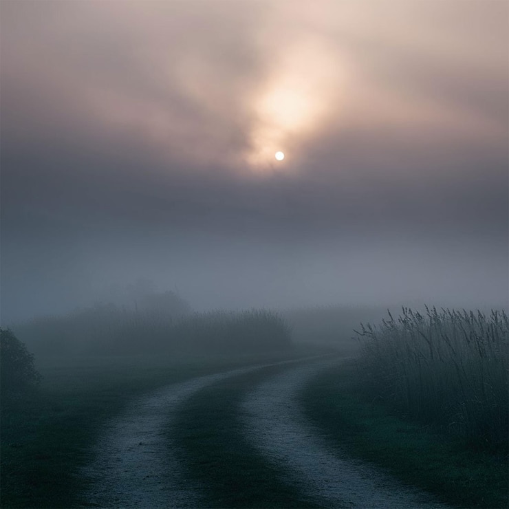 PSD l'aube dans les champs couverts de brouillard