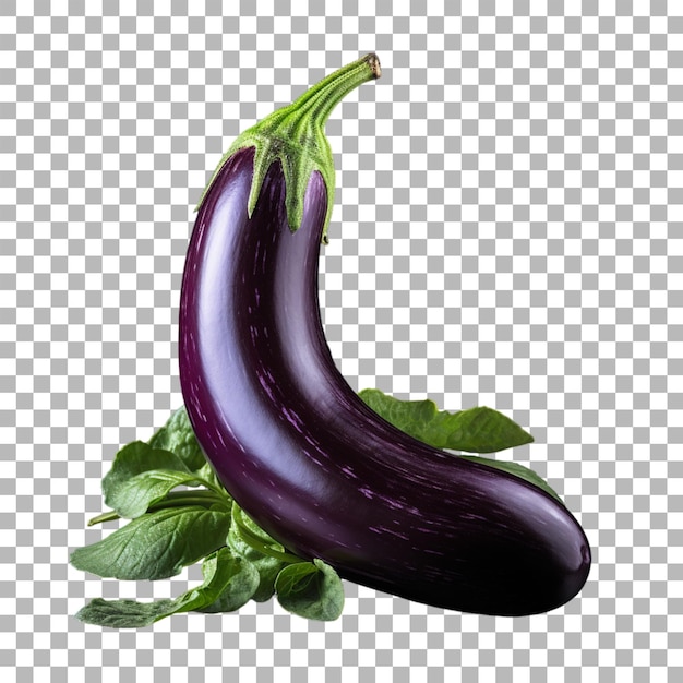 Aubergine auf durchsichtigem hintergrund