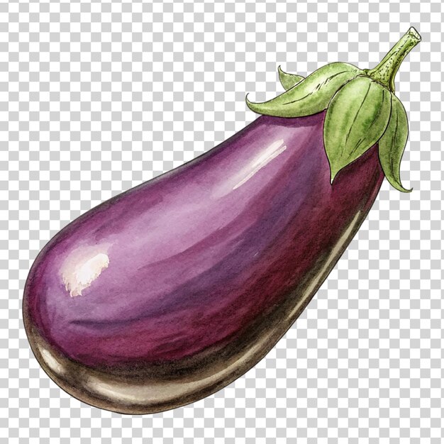 PSD aubergine isolée sur un fond transparent