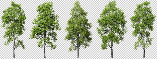Ausgeschnittene Bäume formen Dekorationen Landschaftskollektion 3D-Rendering