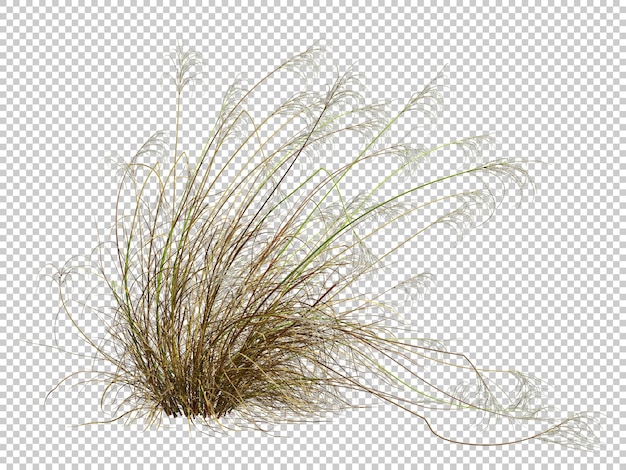 Ausgeschnittenes getrocknetes gras überwuchertes feld 3d-render-illustration