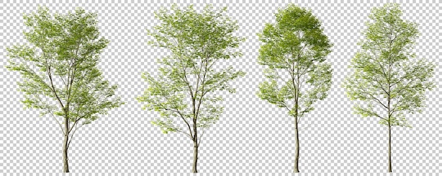 Außerhalb Bäume Landschaftsformen Ausschnitt Hintergründe 3D-Render