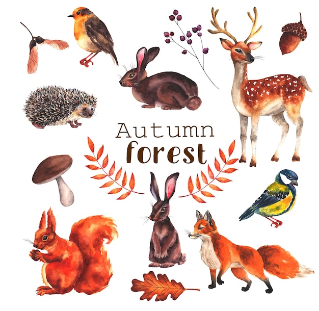 PSD autocollants animaux de la forêt d'automne aquarelle
