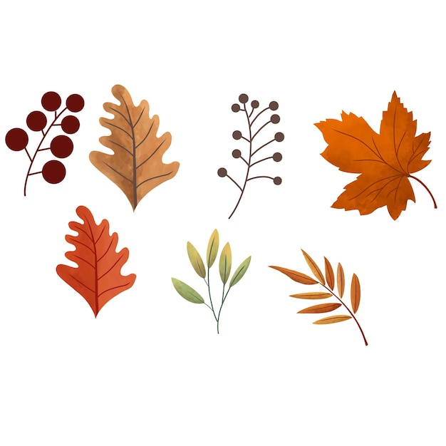 Autumn leaves