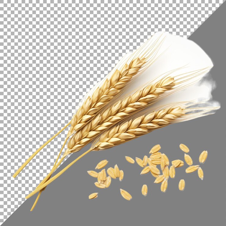 PSD la avena contra un fondo transparente generada por ai