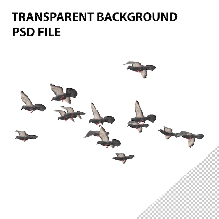 PSD aves en bandadas aisladas sobre un fondo blanco