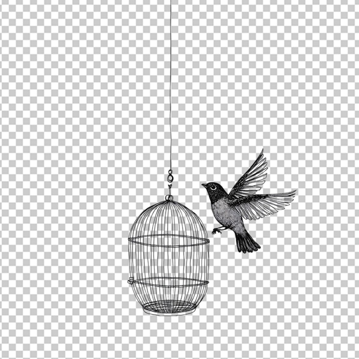 PSD aves liberadas de la jaula de pájaros en línea continua sobre un fondo transparente