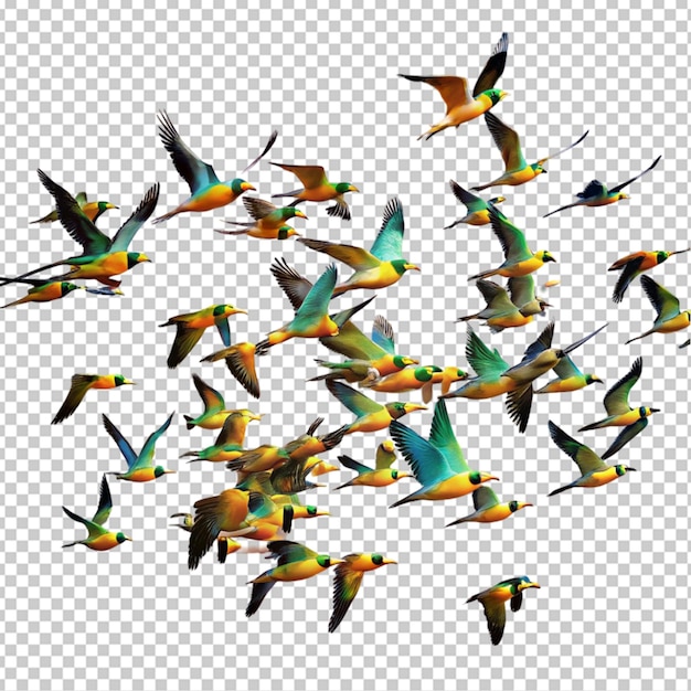 aves que vuelan aisladas