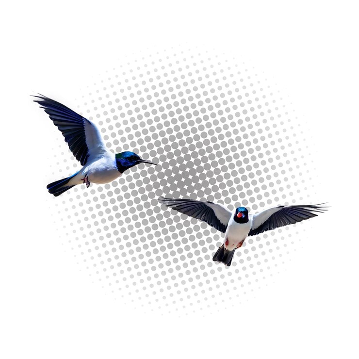 PSD aves en vuelo sobre un fondo transparente