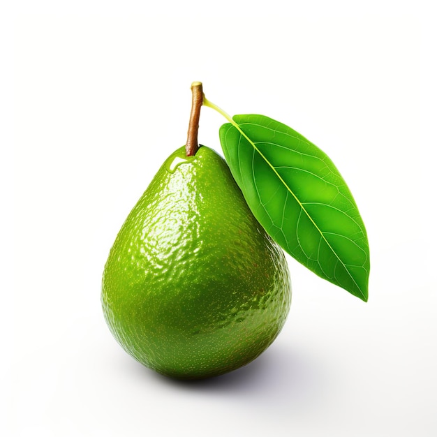 Avocado con foglia