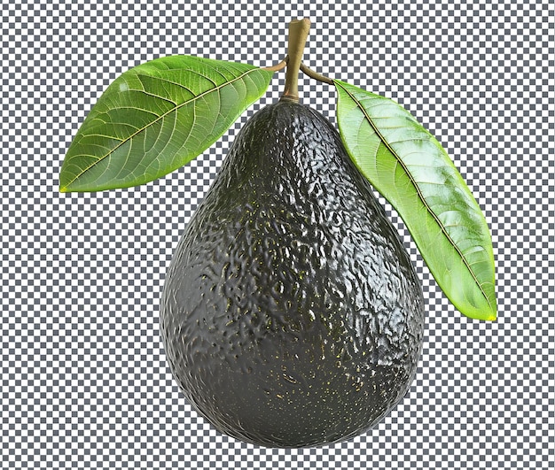 Avocados naturais e frescos isolados sobre um fundo transparente