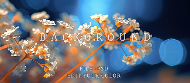 PSD babys breath flor resumen bokeh fondo naranja azul luz