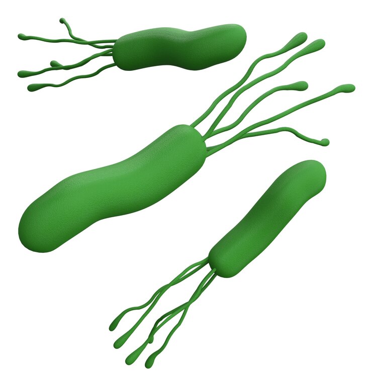PSD bactéria helicobacter pylori 3d renderiza ícone de medicamento realista para logotipo isolado transparente png thumbnail