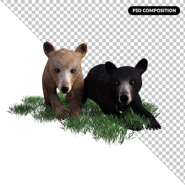Bär und Freunde Tier isoliert 3d