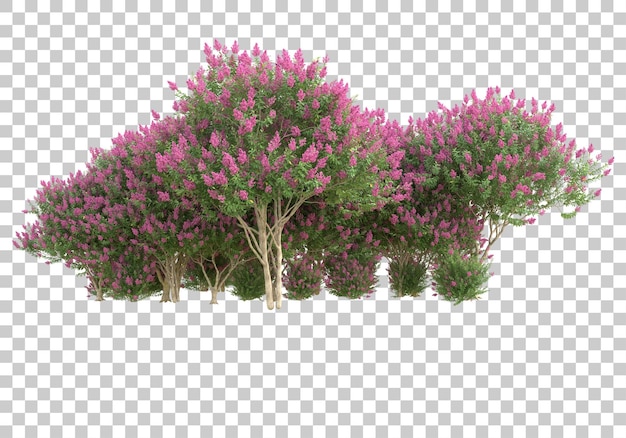 Bäume mit blumen auf transparentem hintergrund 3d-darstellung