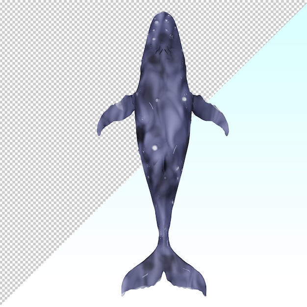 Balena