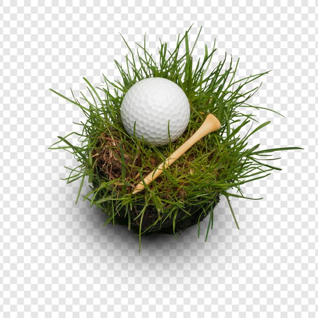 La balle de golf sur l'herbe verte