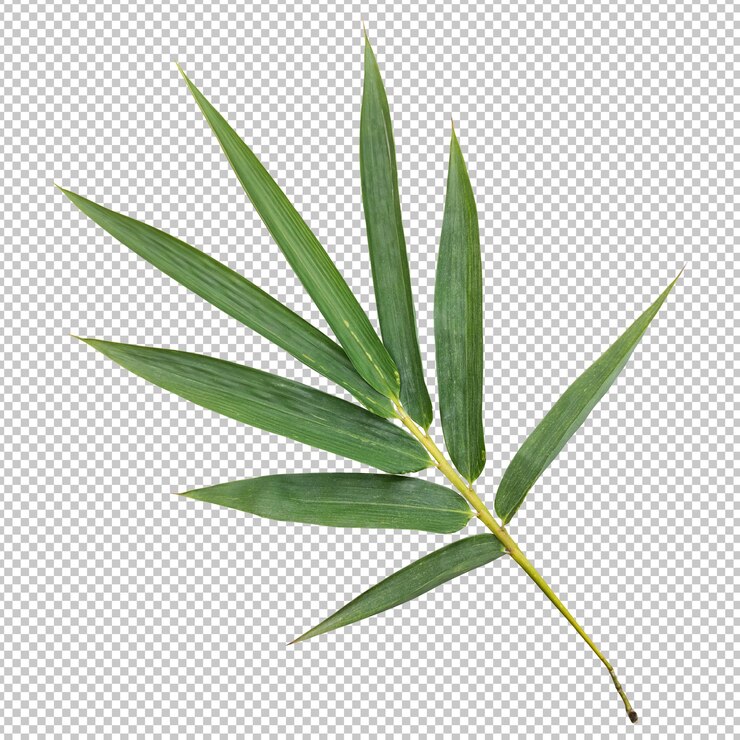 Bambu deixa renderização isolada