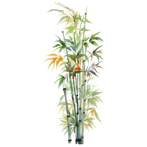 PSD bambu pintado a aquarela elementos de design de plantas desenhados à mão isolados em fundo branco