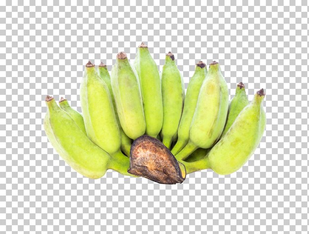 PSD banana verde isolada
