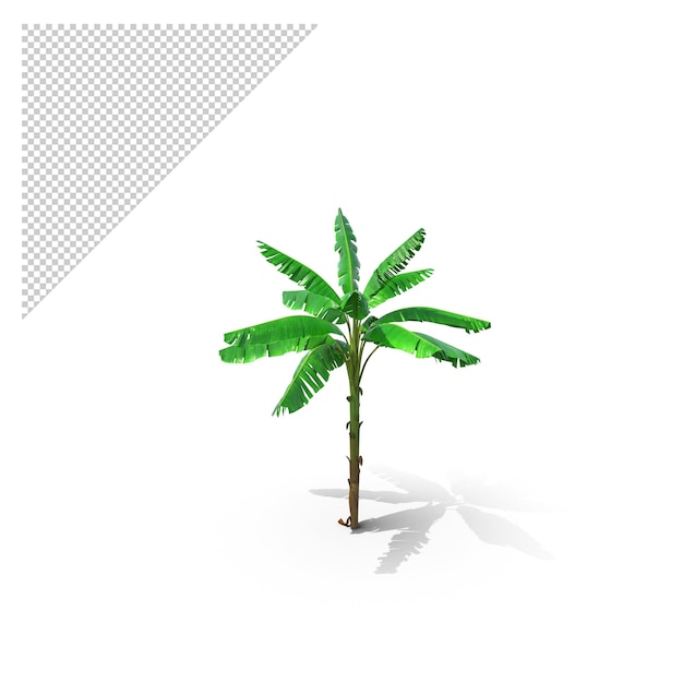 Bananier PNG