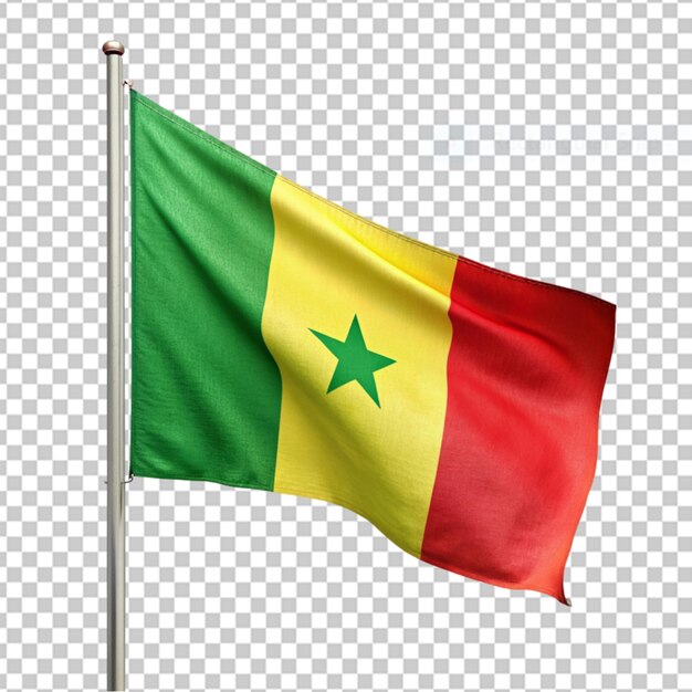 PSD bandeira do senegal png