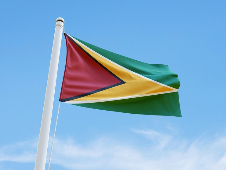 PSD bandera da guiana