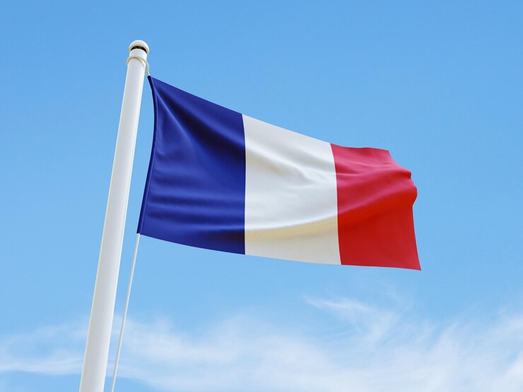 PSD bandera de francia
