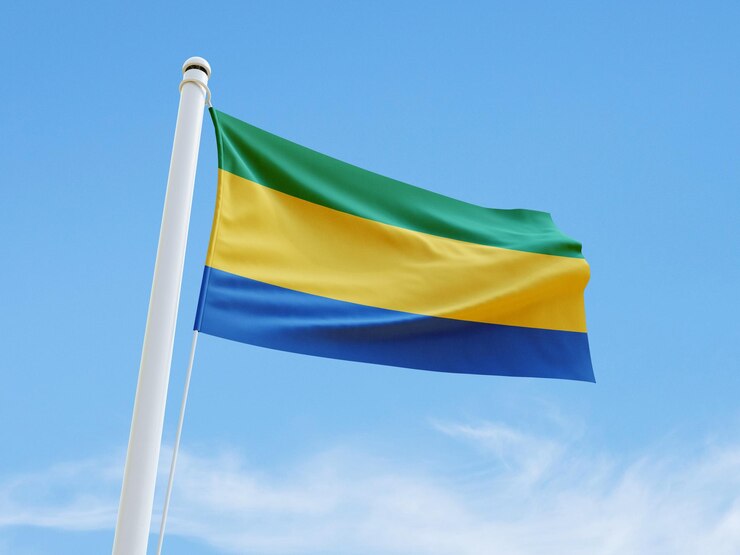 PSD bandera de gabon