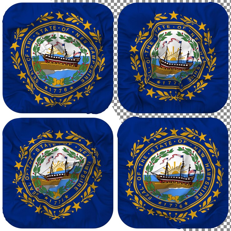 PSD bandera del estado de new hampshire forma de escudero aislada diferentes estilos de ondulación textura de relieve representación 3d
